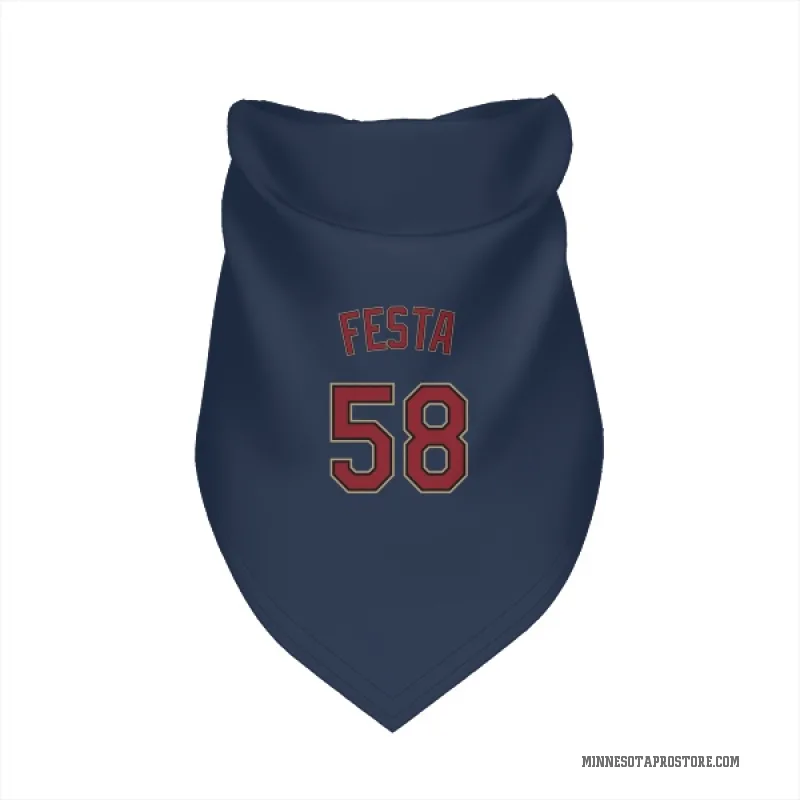 David Festa  Navy Minnesota Twins  Cat & Dog Pet Bandana