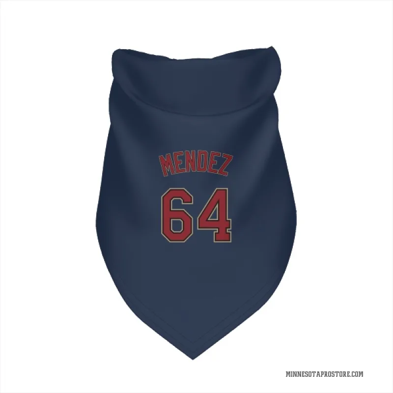 Hendry Mendez  Navy Minnesota Twins  Cat & Dog Pet Bandana
